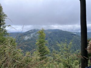 Obrázek k aktualitě: Exkurze v pralese Mionší a zážitkový program v ekologickém centru Ursus v Dolní Lomné